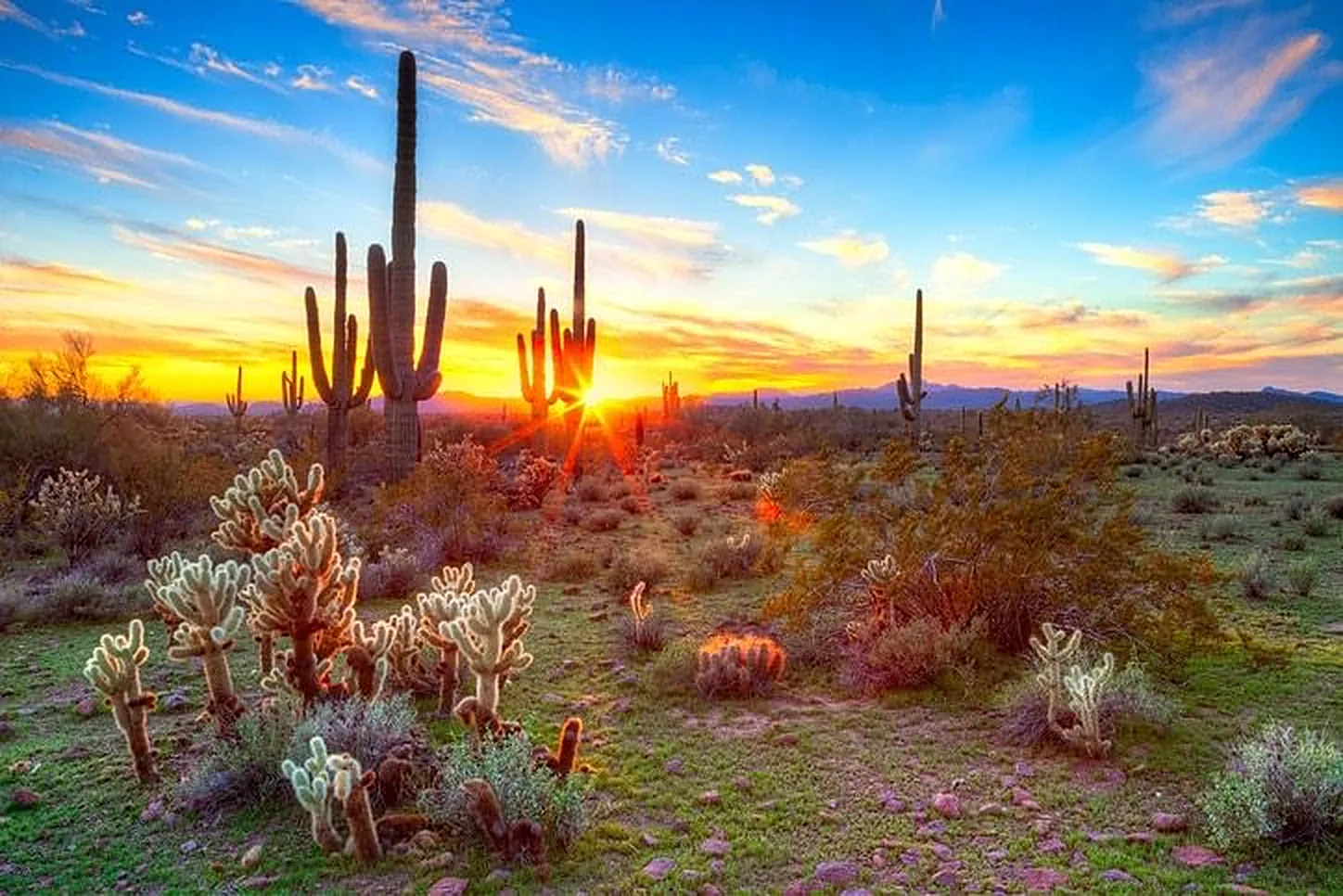 FireRock, Fountain Hills