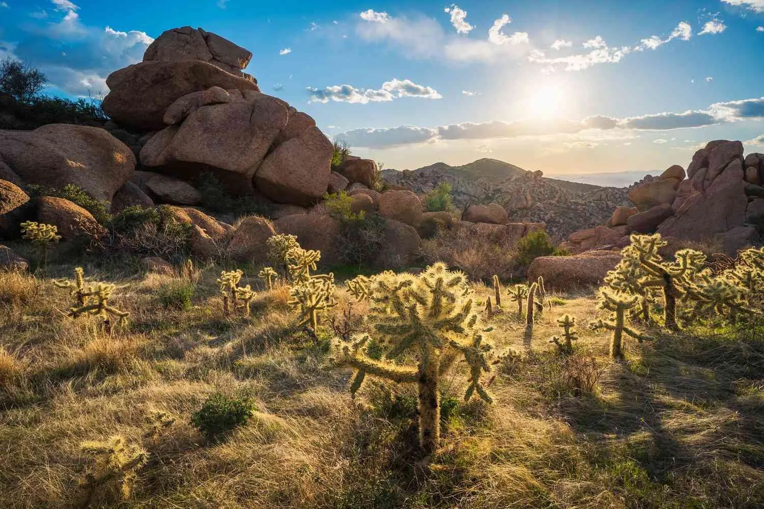SunRidge Canyon, Fountain Hills